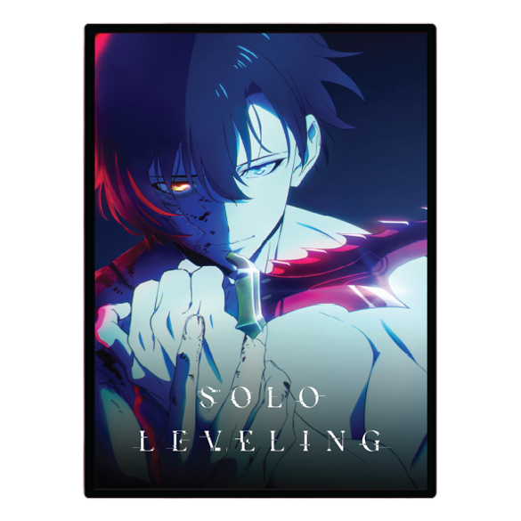 Solo Leveling (2024) Illuminated LED frame display & Poster