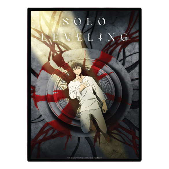 Solo Leveling (2024) Illuminated LED frame display & Poster